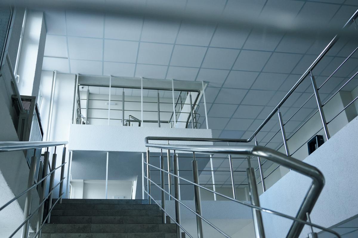 IMG-16236.jpg